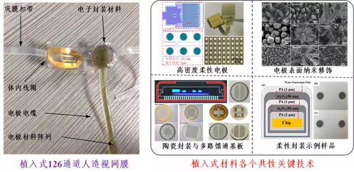 深圳先進(jìn)院攜多個黑科技產(chǎn)品閃耀CIOE2018，推動光電技術(shù)交流與創(chuàng)新